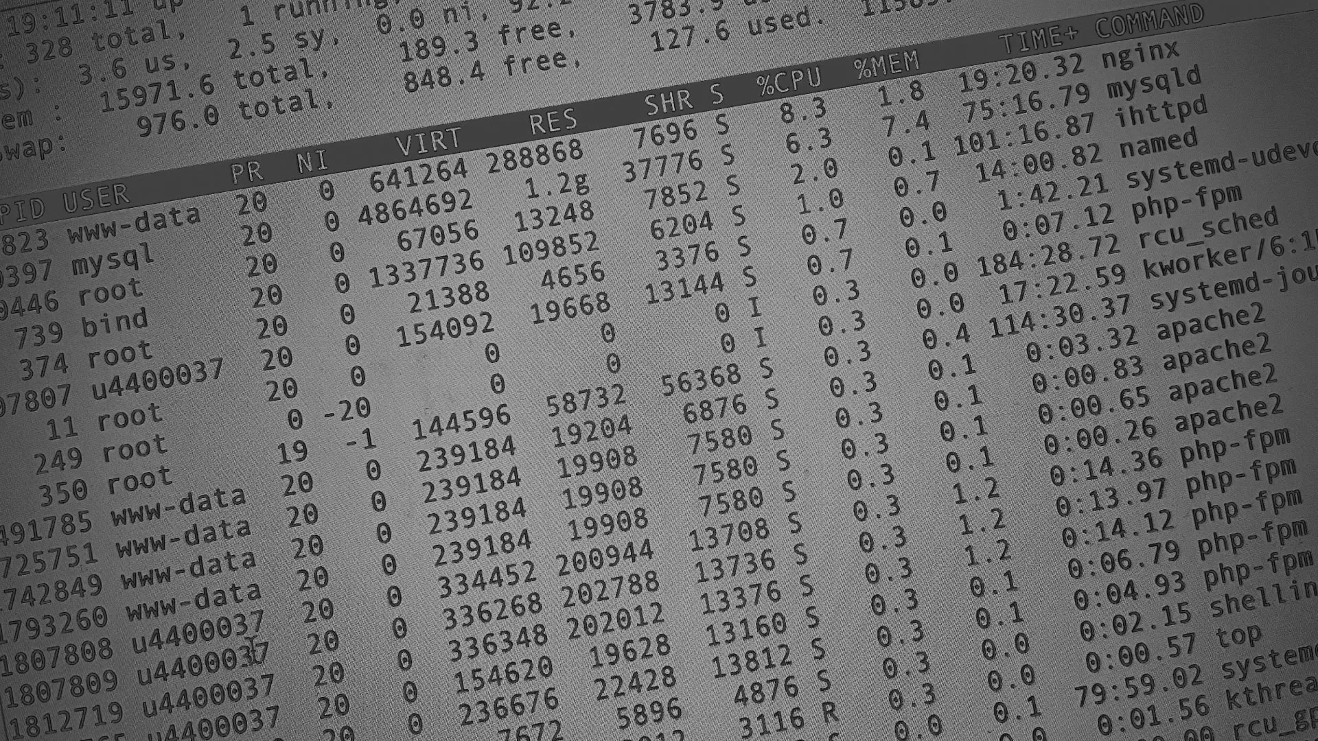 Настройка сервера в Волжском