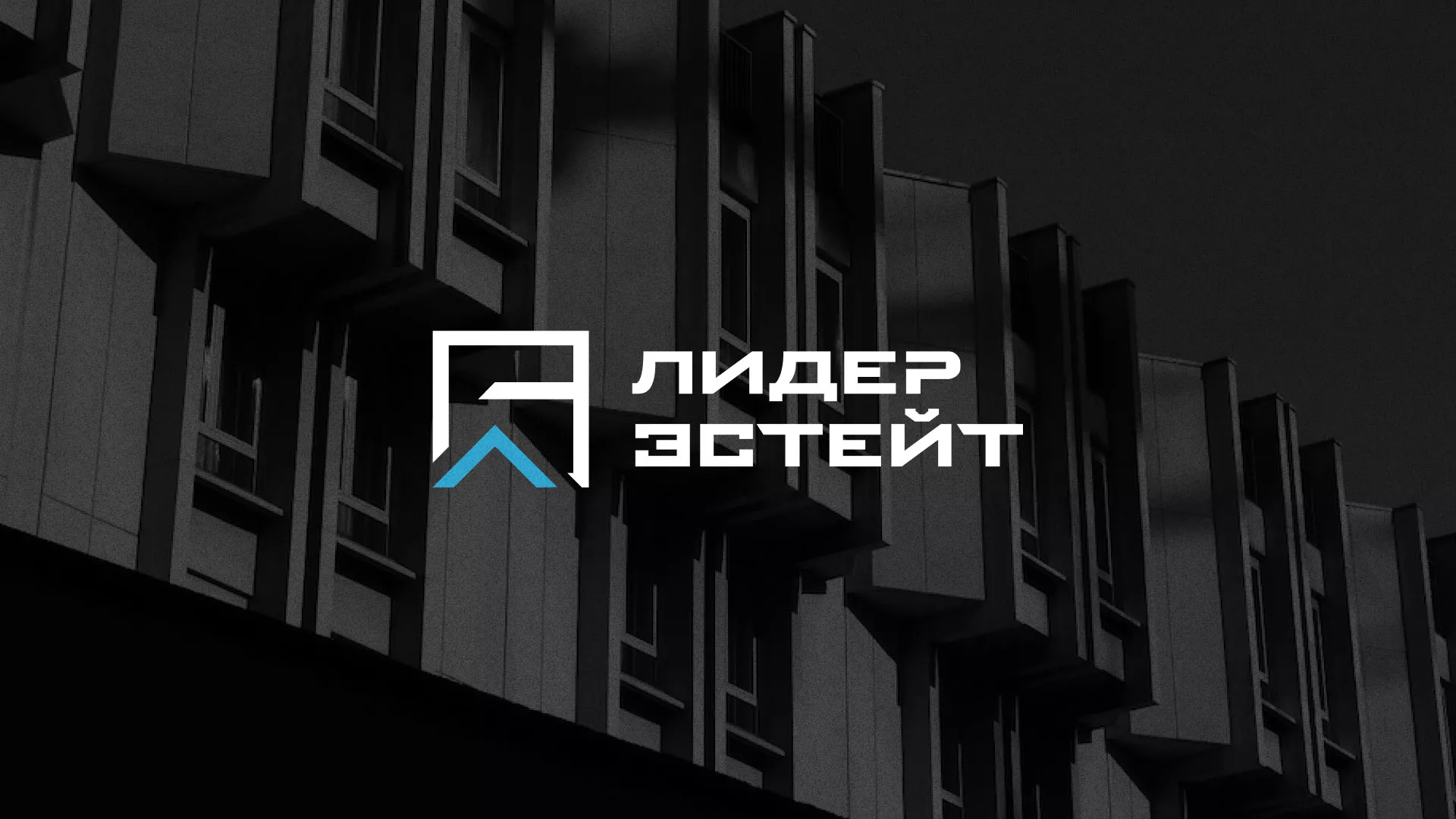 Разработка логотипа агентства недвижимости «Лидер Эстейт» в Волжском